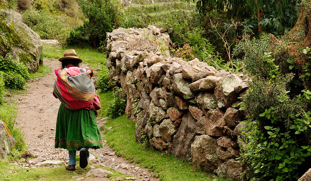 サボテンと人間との関わり