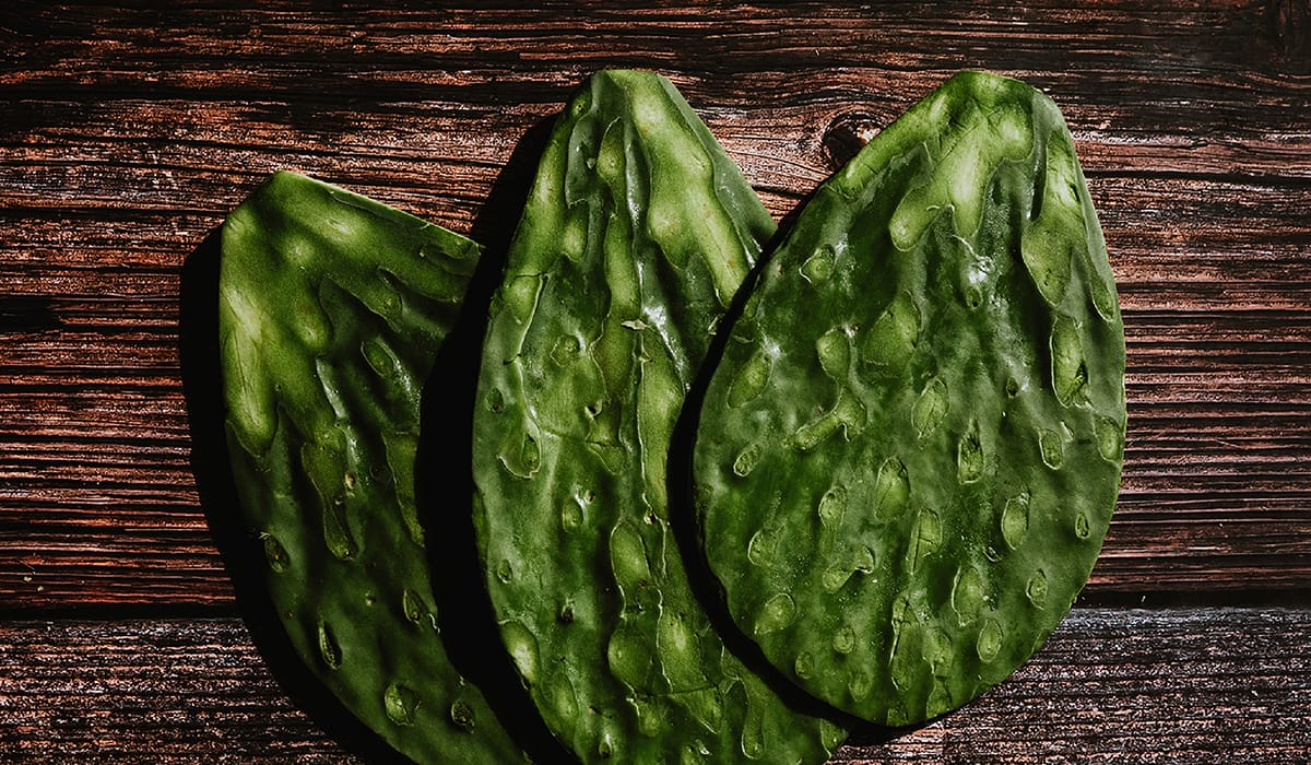 食用としてのウチワサボテン